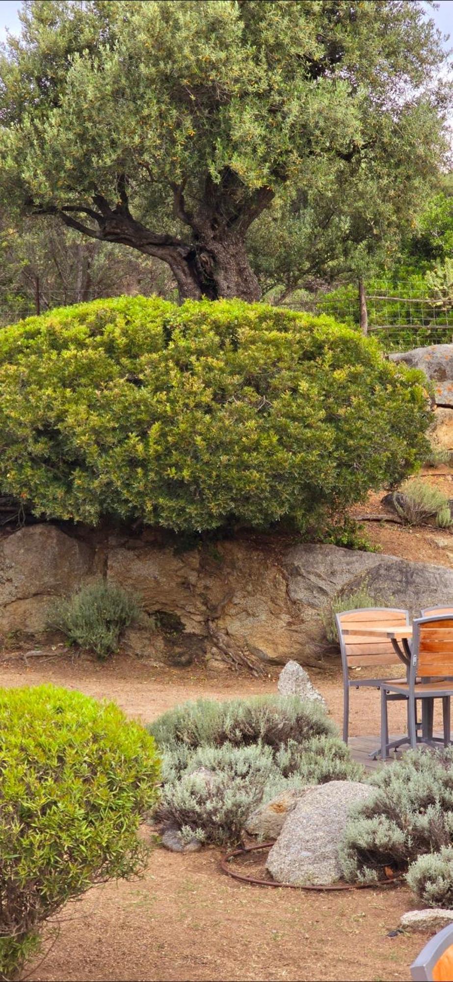 Hotel Cala Di L'Oru LʼÎle-Rousse Eksteriør bilde