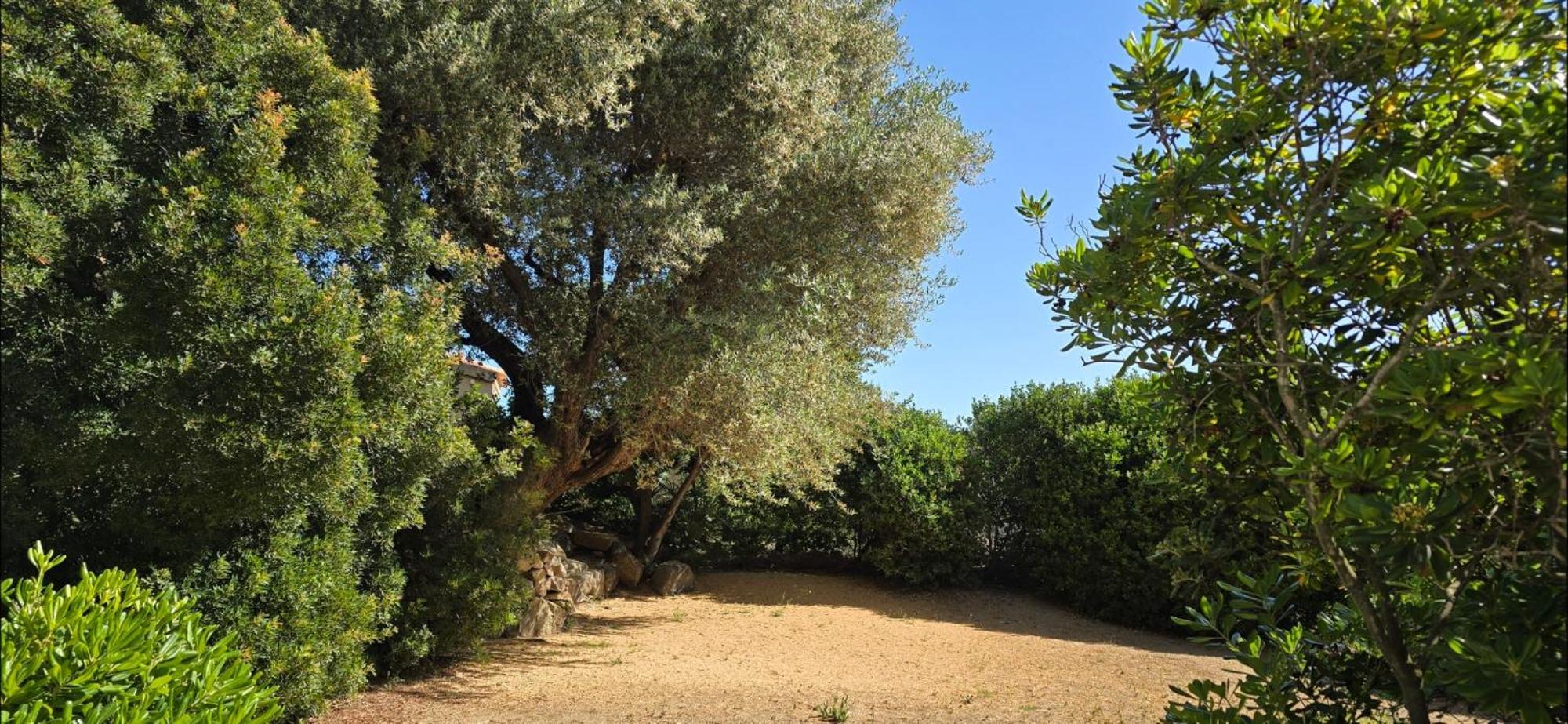 Hotel Cala Di L'Oru LʼÎle-Rousse Eksteriør bilde